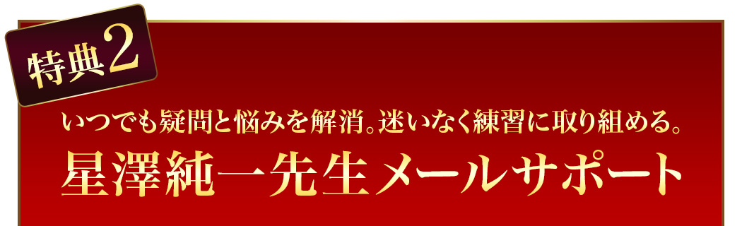 バスケDVD】星澤純一の超シンプル化シャッフルオフェンス～能力的に恵まれないチームが動きの質で試合に勝つ方法～｜高校バスケットボール 界の名将星澤純一が、飛び抜けた選手がいなくても一方的に点を取るための強力なオフェンス戦術をお教えします